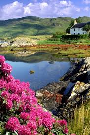 You can also upload and share your favorite scotland wallpapers. Schone Schottische Landschaften Schottland Iphone Wallpaper 640x960 Wallpapertip