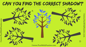 We did not find results for: Tough Visual Brain Teaser For Adults With Answer