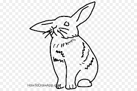 Heimische Kaninchen Hasen Barthaare Zeichnen Kaninchen Png Herunterladen 600 600 Kostenlos Transparent Weiss Png Herunterladen