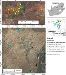 Image result for Leucas sexdentata