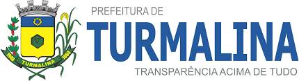 Nós servidores públicos municipais efetivos de nível universitário/superior da ativa e aposentados, rejeitamos veementemente o conceito de subsídio e portanto, não queremos alterar o nosso regime de remuneração para subsídio na prefeitura do município de são paulo. Prefeitura Municipal Portal