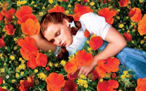 Maybe you would like to learn more about one of these? You Ll Never Guess How They Made The Snow In The Wizard Of Oz Poppy Scene