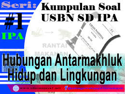 Dapatkan contoh soal psikotest lengkap kumpulan soal soal psikotes yang bisa membantu untuk persiapan test masuk kerja ataupun test masuk sekolah dan kuliah contoh. Contoh Soal Psikotes Sma Jurusan Ipa 2020