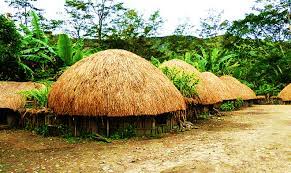 Keunikan Nama Rumah Adat Papua Beserta Gambar Dan Penjelasannya