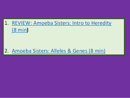 *khan academy and amoeba sisters both have a youtube channel that is very helpful. Gene Expression 1 Genetics Notes