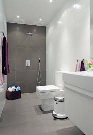 Tile Combination Grey Bathroom Tiles Simple Bathroom White Bathroom Decor