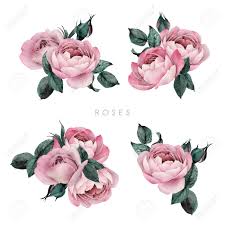Our research has helped over 200 million users find the best products. Roses Bouquets Of Flowers Can Be Used As Greeting Card Invitation Stock Photo Picture And Royalty Free Image Image 150291177