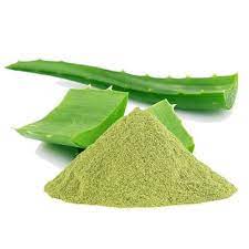Aloe Vera Extract Powder Manufacturers Wholesale Bulk Suppliers in USA -  Medikonda Nutrients