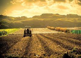 Stiind că măsura arcului mic ab este de120° şi măsura arcului mic bc este de 100°, să se calc … uleze:a) măsura arcului mic. CaÈi Metri Are Un Hectar Un Pogon Sau Un Ar Newmoney