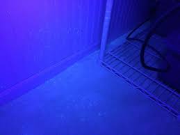 Traviscuuglyroom Picture Taken With Black Light To Show Animal Urine Damage Blue Pictures Blue Bedroom Urinal