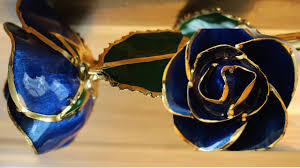 Gold dipped roses, or gold trimmed roses, are real roses that are cut and preserved in a protective shell of gold to make them last a long time. I Hate Steven Singer Enchanted Rose 24kt Gold Dipped Rose Happy Valentine S Day Youtube