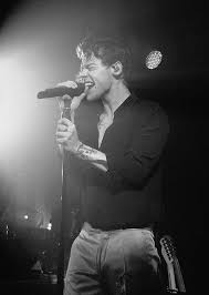 Aesthetic Harry Styles Black And White Poster 