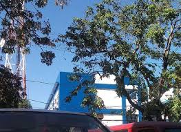 East canumay, lawang bato punturin: Ccs Highschool 11 Mulawinan St Lawang Bato Valenzuela 2021