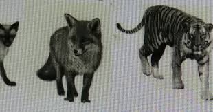 Ulangan harian biologi kingdom animalia x semester 2. Pembahasan Soal Simulasi Ii Unbk Biologi Sma Soal No 25 Tahun 2017 2018 Paket Soal 2 Blog Pak Pandani