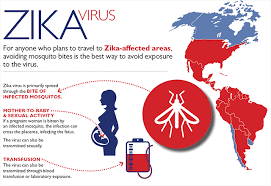 This virus was initially isolated in africa and is transmitted to nonhuman primates and humans by mosquitoes. What Is The Zika Virus Johns Hopkins Medicine