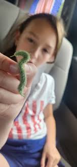 I received a funeral arrangement from Michigan, USA