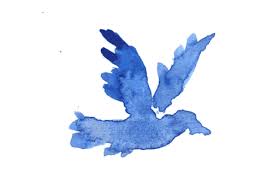Air Gif Anazhthsh Google Bird Illustration Birds Flying Art