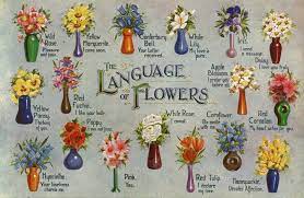 It is also used to indicate happiness and abundance. Flower Meanings Symbolism Of Flowers Herbs And More Plants The Old Farmer S Almanac