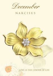 Narcissus Birth Flower Pendant Birth Flower Tattoos Birth Flowers December Birth Flower