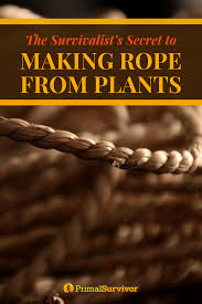 The Survivalist S Secret To Making Rope From Plants How To Make Rope Survivalist Survival Tips