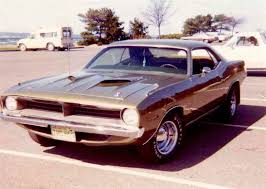 Image result for Amber Sherwood 1973 Fury