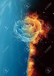 Wall water vapor electric fireplace. Dramatic Rose Half Fire Half Water With Cool Blue Splash Effect On One Side And Fiery Orange Flames On The Other 3d Rendering Stock Photo Picture And Royalty Free Image Image 95087104