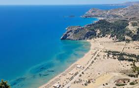 Image result for Salacia rhodesiaca