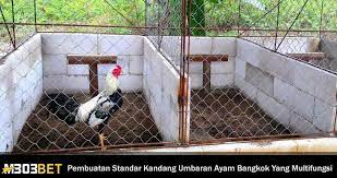 Ukuran kandang umbaran ayam bangkok dari bambu. Pembuatan Standar Kandang Umbaran Ayam Bangkok Yang Multifungsi