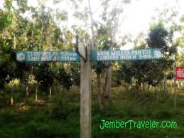 Check spelling or type a new query. December 2013 Jember Traveler
