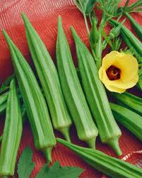 Image result for Abelmoschus