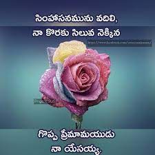 Pin By V Anu On Jesus Bible Quotes Telugu Bible Quotes Flowers