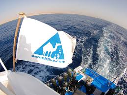 Inside camel dive club & hotel. Sharm El Sheikh Dive Centres Red Sea Dive
