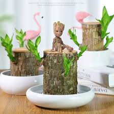 Buy 2 Save 5 Wood Pots Brazilians Bionic Design