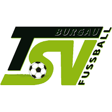 Tsv 1860 munich png images, munich re, sc 1906 munich, societies registration act 1860, munich east station, technical university munich, linkedin munich, adidas store munich transparent png Tsv 1860 Munchen Logo Download Logo Icon Png Svg