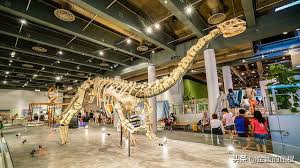 5f 物質科學展示區 物理科學展示區 五樓包含科學遊戲的世界、探索物理世界及探索化學世界等三個展覽區。 科學遊戲的世界展示區位於本館五樓西側展示廳，本區的展覽內容有「力量和運動」，由各種體驗裝置構成。 é¦™æ¸¯æœ¬åœ°äººå­©å­æœ€å¤šçš„åœ°æ–¹ä¸æ˜¯è¿ªå£«å°¼å'Œæµ·æ´‹å…¬åœ' è€Œæ˜¯é¦™æ¸¯ç§'å­¸