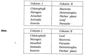 Ncert Solutions For Class 7 Science Chapter 1 Nutrition In Plants Nutrition In Plants Science Science Tutor