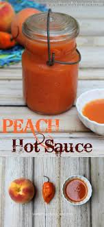 Hot Sauce Recipes You Can Make Hot Sauce Recipes Homemade Hot Sauce Sauce Recipes