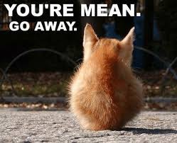 Pin On Cuteness And Laughter