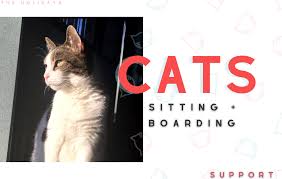 Because pets bring us immeasurable happiness, love and joy, it can be devastating. Tails On Trails Personalized Pet Services In Jersey City Nj