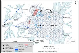 Image result for Craterosiphon quarrei