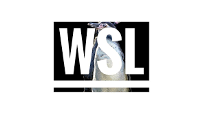 Setting wsl configuration items at bootup with wsl.conf developing on wsl with visual studio code (vs code) adding windows subsystem for linux to the windows terminal Wsl Windows Subsystem For Linux Home Facebook