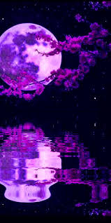 Fondo de pantalla con movimiento gif. Buenas Noches Good Night Fondo De Pantalla Colorido Imagen Fondo De Pantalla Luna Fondos De Pantalla