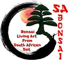 Image result for Carissa tetramera