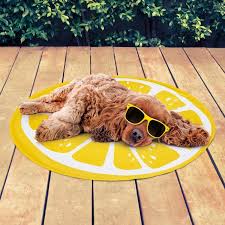 Check spelling or type a new query. Pet Cooling Fruit Mat Lemon Pet Accessories B M