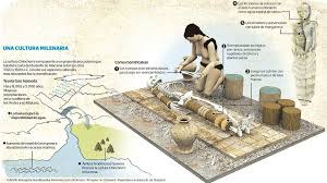 Chinchorro's relied on fishing, hunter and gathering for food and shelter. Momias Chinchorro Proceso Processo De Mumificacao Mumia Civilizacao