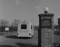 Image result for Malacca Blue 1989 Summit