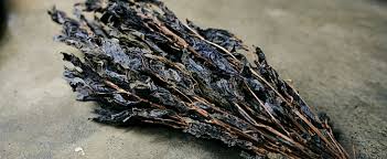 Image result for Indigoblaa 1986 Sado Denmark