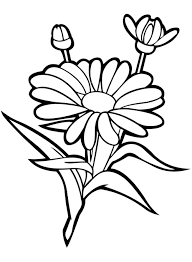 Fiori di primavera disegni colorati per bambini da stampare gratis puoi stampare scaricare il disegno o guardare gli altri disegni simili a questo disegni da stampare e colorare di tantissimi fiori e piante ci sono 38 immagini nella categoria «« inizio; Disegni Di Fiori Da Colorare 80 Immagini Gratuite Per La Stampa