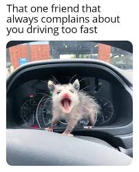 Driving Memes Tumblr