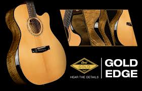 It may be confusing to know what to get, so here's a review that explains what is best for you. Cort Guitars And Basses Electric Guitars Basses Amplifier